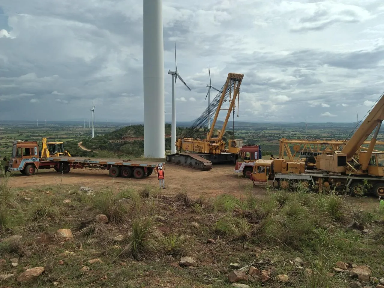 Wind farm